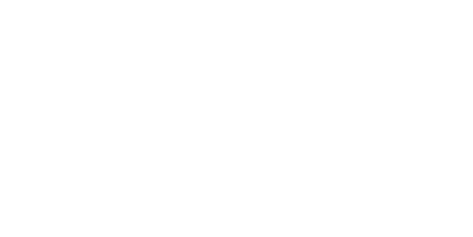 Eagle Security